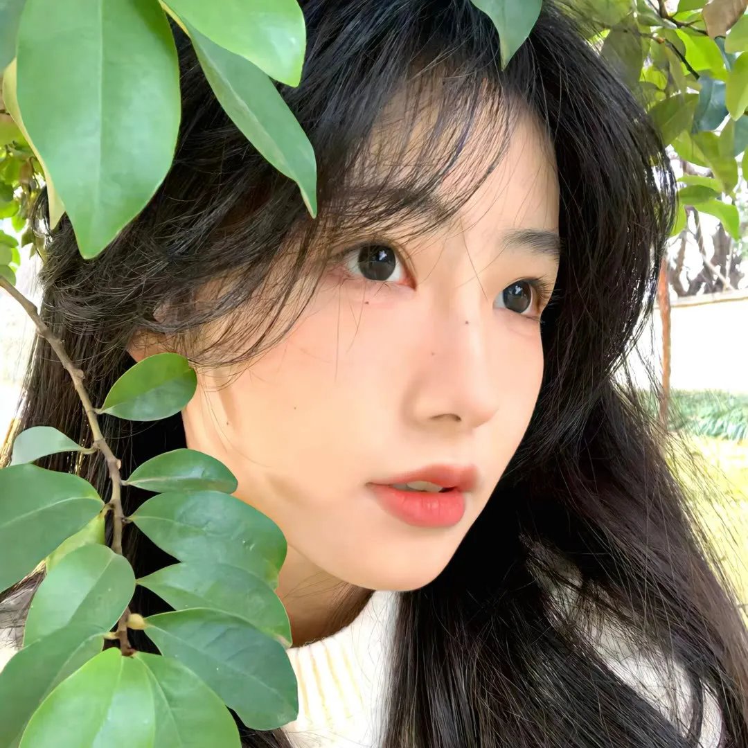 恋曲尘封
